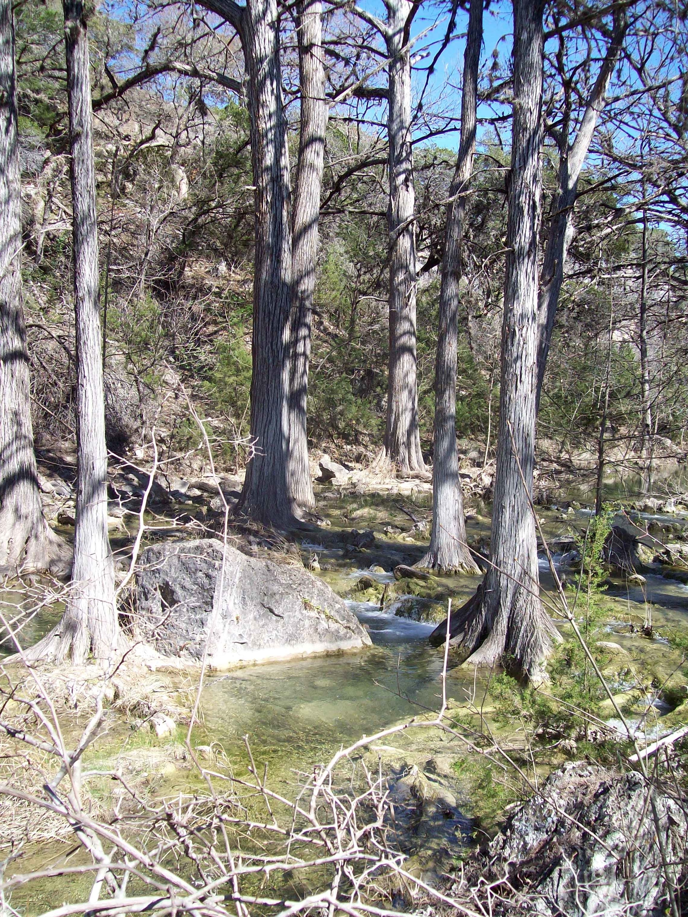 2010-03-12-Hamilton Pool-05.jpg